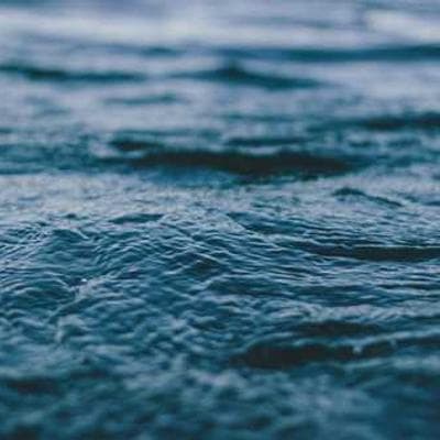 Portrait of C. R. Smith